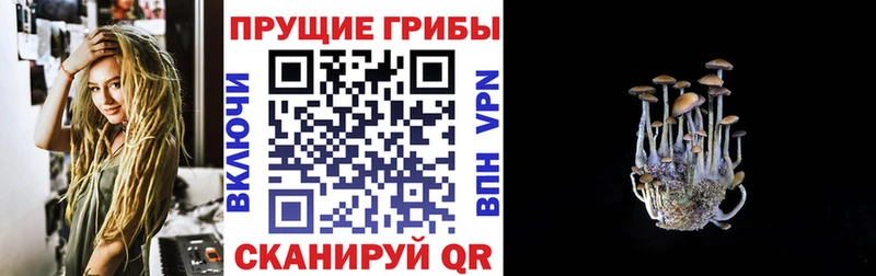 Псилоцибиновые грибы мицелий Ликино-Дулёво